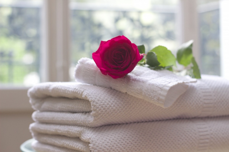 hotel-SANARY SUR MER-min_towel_rose_clean_care_salon_spa_white_bath-731641